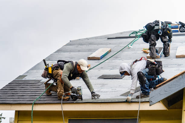 Professional Roofing technician working in East Setauket, NY